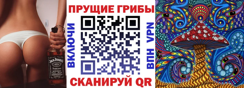 цены   Котово  ссылка на мегу как войти  Галлюциногенные грибы Psilocybine cubensis 